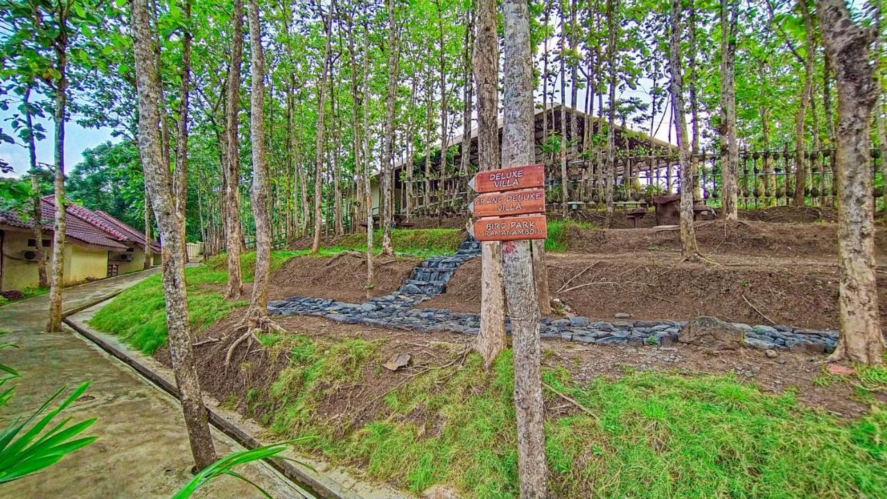 Kasuari Exotic Resort ماجلانج المظهر الخارجي الصورة